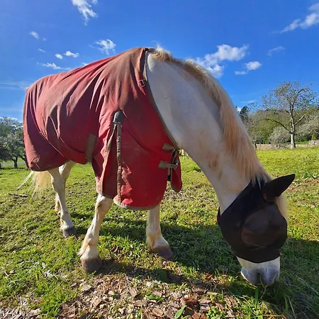 Prázdninový dům La Maison D'o