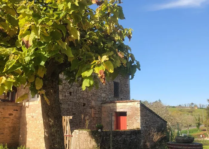 La Maison D'o * Frayssinet-le-Gélat