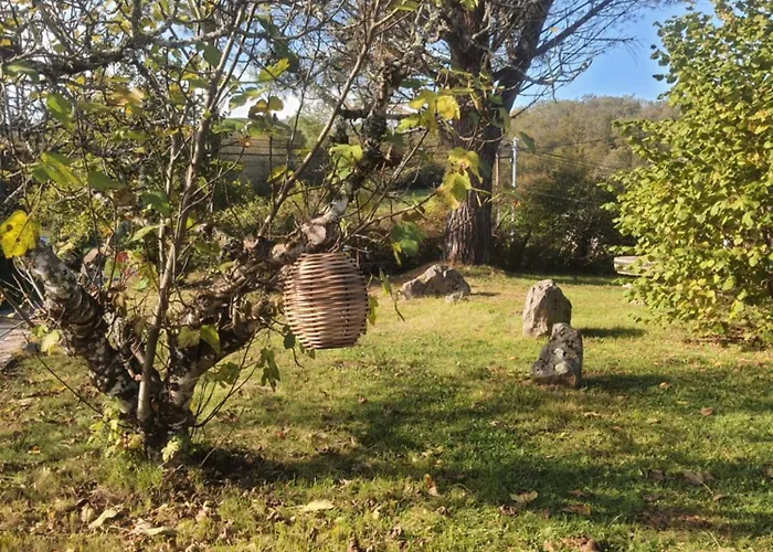 La Maison D'o * Frayssinet-le-Gélat