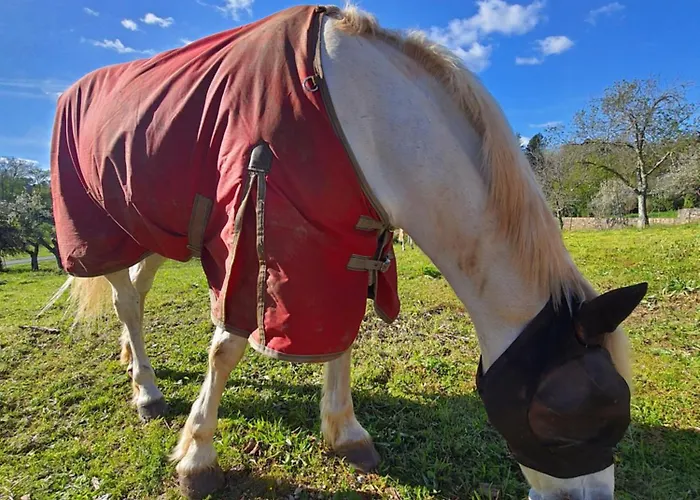 Semesterbostad La Maison D'o