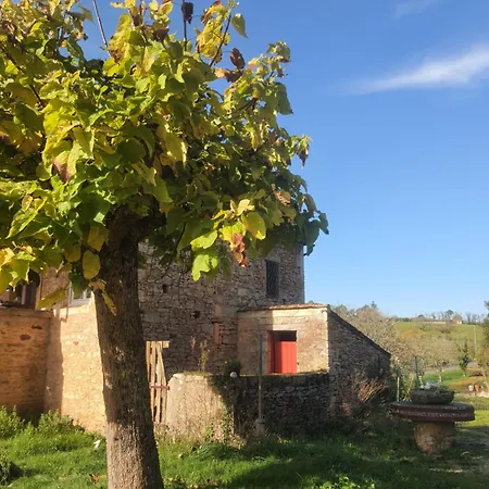 La Maison D'ô * Frayssinet-le-Gélat
